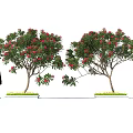 Butterflies Fluttering Around Red Flowering Trees With Green Grass And Silhouette