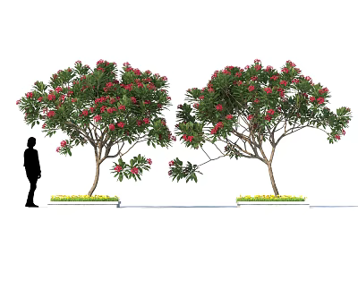 Butterflies Fluttering Around Red Flowering Trees With Green Grass And Silhouette 3d model