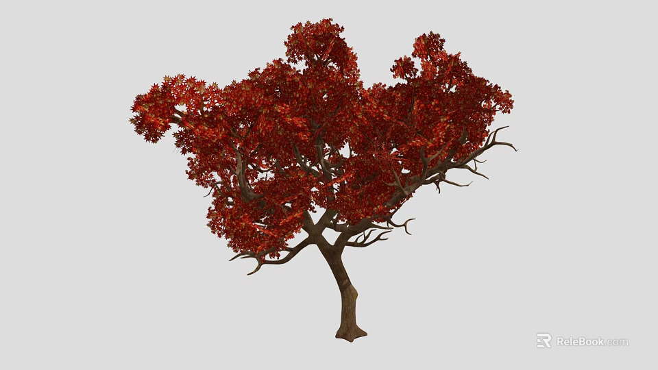 Vibrant Red Leaf Tree With Brown Trunk Against Gray Background 3d model 