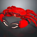 Vibrant Red Crab Featuring Large Claws And Long Legs On Gray Background 3d model