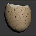 Speckled Boiled Egg With Runny Yolk And Smooth White For Daily Use