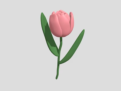 Beautiful Pink Tulip Plant with Fresh Green Leaves and Long Green Stem 3d model