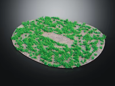Green Grass on Circular Surface with Gray Stone Path and Small Lawn Design 3d model