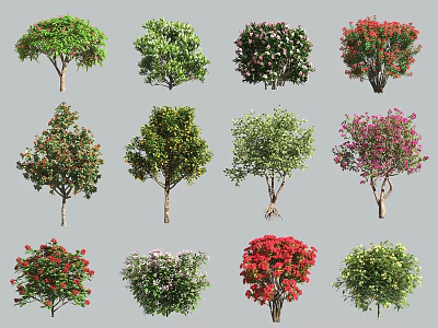Diverse Arbor Species Display With Colorful Blooms Green Foliage And Unique Shapes 3d model
