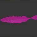 Spiked Brown Fish As Daily Household Food Item On Smooth Reflective Surface