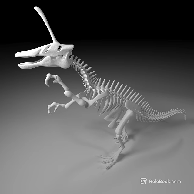 Public Museum Dinosaur Skeleton Exhibit Model With Detailed Bone Structure 3d model 