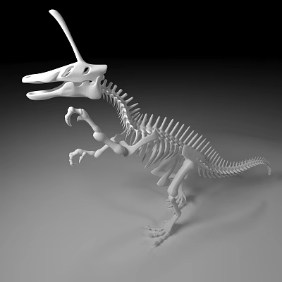 Modern dinosaur fossils 3d model