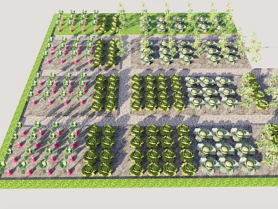 Various Types Of Crops Growing In Neat Rows Across Organized Farmland 3d model