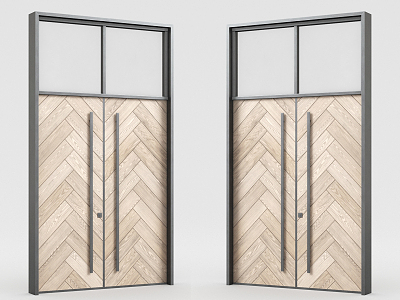 Modern double door 3d model