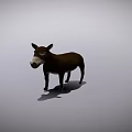 Realistic Brown Donkey 3D Model Standing On Gray Background With Shadow 3d model