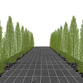 Evergreen Trees Lining Symmetrical Landscaped Path With Paved Surface And Dense Foliage 3d model