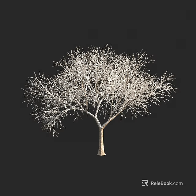Leafless Arbor With Brown Trunk And White Branches On Black Background 3d model