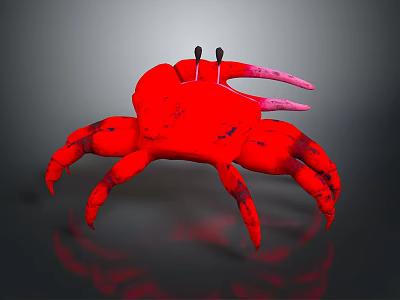 Vibrant Red Crab 3D Model With Detailed Pincers And Textured Exoskeleton 3d model