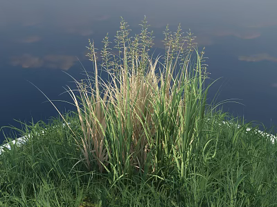 Lush Green Meadow With Tall Grass Plants Under Blue Sky And White Clouds 3d model