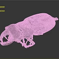 Dark Red Stag Beetle With Large Mandibles Shiny Exoskeleton Isolated On Dark Background
