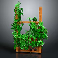 Green Vines Growing On Wooden Trellis With Lattice Structure And Decorative Leaves