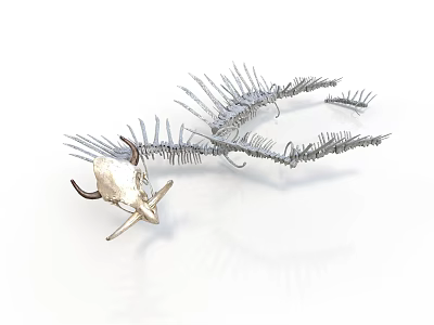 Metallic Animal Skeleton Model With Intricate Wing Structure And Bone Details 3d model