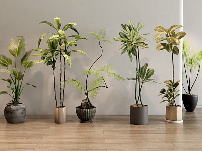 Modern Indoor Plants Potted Green Plants Potted Balcony Plants model