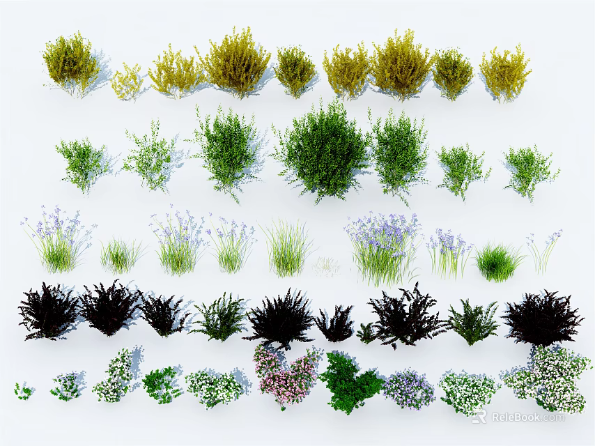 Various Types of Decorative Shrubs in Different Colors for Landscape Design 3d model 
