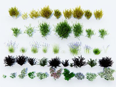 modern shrub-flower-grass combination model