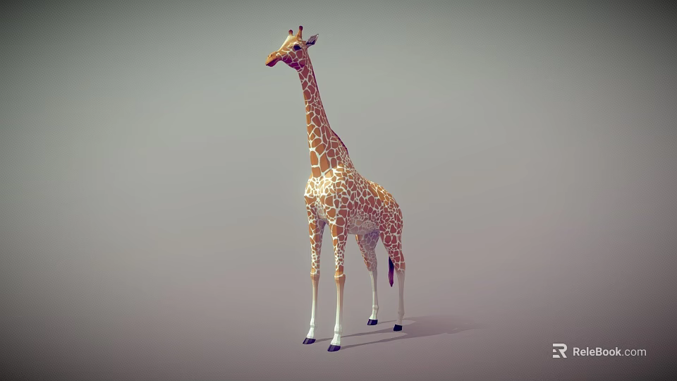 Realistic 3D Giraffe Model With Brown White Spots Standing On Grey Background 3d model 