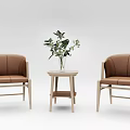 Modern Brown Leather Chairs and Wooden Side Table with Green Plants Decoration