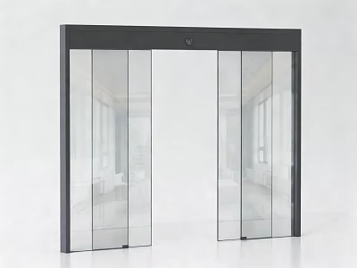 Modern Black Framed Double Panel Sliding Door With Transparent Glass Panels 3d model