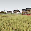 Starry Night Homestay Buildings Surrounded By Rice Field With White Lights And Windmill