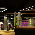 Modern Gym Interior With Boxing Ring Fitness Equipment And Bright Lighting