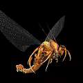 Flying Creature with Intricate Wing Structure Orange Brown Body Long Antennae and Segmented Legs 3d model