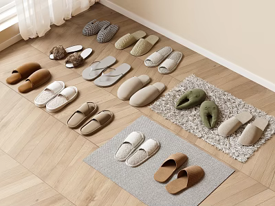 A Variety Of Slippers Placed On Wooden Floor And Rugs 3d model