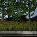 Scenic Municipal Road With Lush Trees Vibrant Yellow Flowers And Green Landscape Design