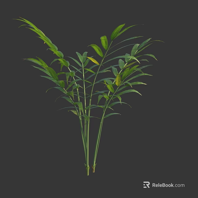 Indoor Green Plant With Slender Stems And Broad Fresh Leaves For Home Decor 3d model 