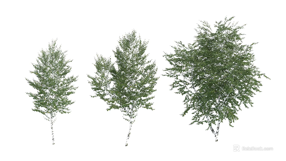 Arbor Trees in Three Different Sizes with Green Leaves and White Trunks 3d model 