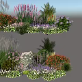 Mixed Plant Combination With Purple Red White Flowers And Green Foliage