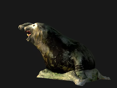 Detailed Realistic Sea Lion Yawning With Open Mouth On Rocky Surface 3d model