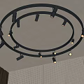 Modern Ceiling Design With Circular Black Track Mounted Downlights And Spotlights 3d model