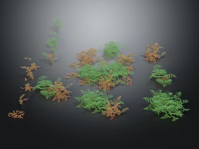 Beautiful Green and Brown Ferns in Multiple Clusters on Black Background 3d model