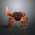 Red and Brown Crab With Large Claws Detailed Texture And Shiny Exoskeleton