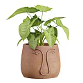 Potted Bonsai Plants in Face Designed Clay Pots on Metal Frame Stands with Wooden Tops