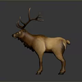 Realistic Deer Figurine With Large Antlers And Brown Fur Standing On Gray Background