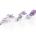 Three Plants With Purple Flowers And Slender Branches On White Background