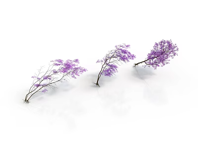 Three Plants With Purple Flowers And Slender Branches On White Background 3d model