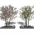 Ornamental Trees with Pink Flowers Green Leaves Stones and White Decorations on Gray Bases