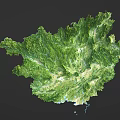 Green 3D Terrain Map Wall Decor With Mountain And River Texture Design 3d model