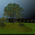 Well Designed Garden Landscape With Osmanthus Trees Balls Shrubs And Green Lawn