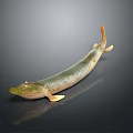 Long Bodied Greenish Yellow Fish With Shiny Scales Orange Tail And Realistic 3D Render
