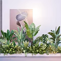 Lush Indoor Green Plants In Long Planter With Various Large Leaf Ferns And Neat Arrangement
