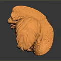 Head Character Portrait Head Various Heads Various Heads Head Carving Head Carving Portrait Face Carving 3d model