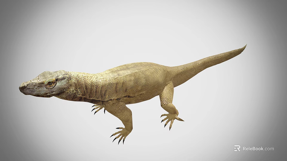 Realistic 3D Scaled Lizard Reptile with Long Tail Sharp Claws on Gray Background 3d model 
